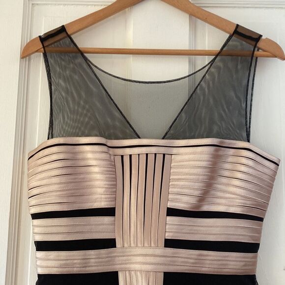 NWT BCBGMAXAZRIA Champagne Cocktail Ribbon Dress - Picture 6 of 16